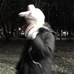 .matrix.