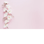 ~Floaestehtic~