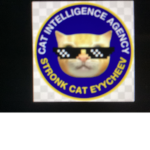 Central intelligence agency for cats
