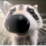 soу