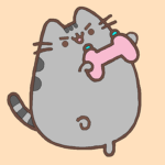 midnight bebs