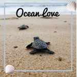 Always There For Our Oceans