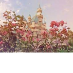 Roxy's Kingdom