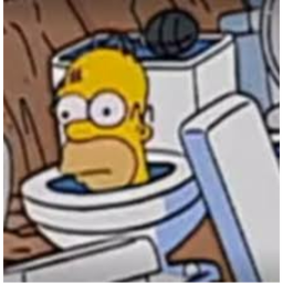 Homero si baila (Roblox Version)