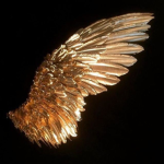 Golden Wings[rosiethemian]