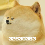 ZoomeeZoomers