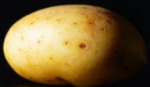 Certified Potato’s