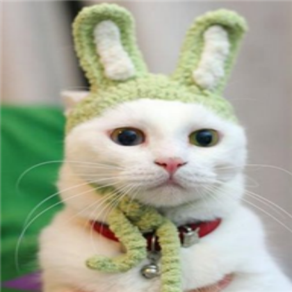 funny-cat Roblox decal