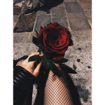 Falling Blxssoms <3