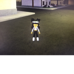 The nice family friendly