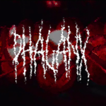 PHALANX CO.