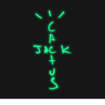 Cactus-Jack