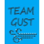 Team Gust