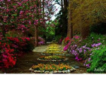 The Garden Of Story's