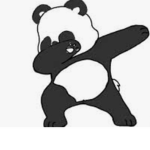 ~My little pandas~