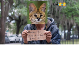 make yourlocalsogga go homeless lol