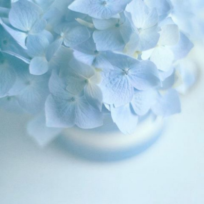 blue aesthetic Roblox decal