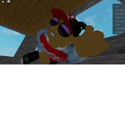 ragdoll system test