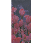 Roblox Plex Fan Group