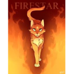 Warrior Cats and other random stuff