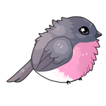 (: Birb Sqaud :)