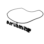 ariana necklace 1.0