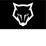 Snow Wolf Studios