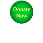 Donate To The Pals