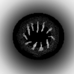Space Doors Development