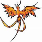 The_ fenix
