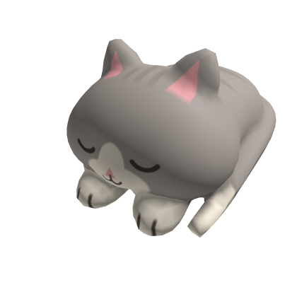 Cute sleeping grey kitty