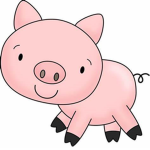 Big head pig
