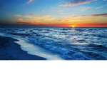 *OCEAN WAVES CLUB*