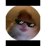Paul the wall