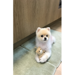 -혅의 소통방-