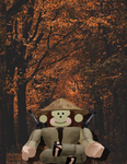 Chillplacejoin