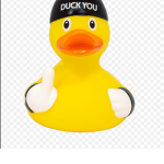 Official duck games