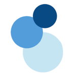 Blackvalley Group Limited
