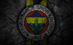 T kilic group