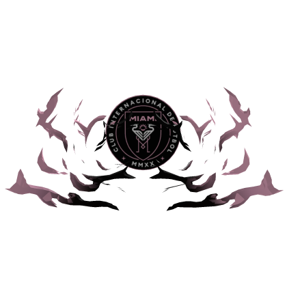 🦩 Inter Miami Aura 🦩