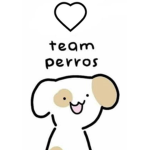 Team Poncio uwu