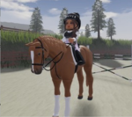 Equine Millie