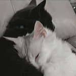 xoPUPPYxo