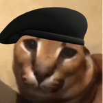Zfloppa