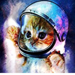 Cats are coolest pet