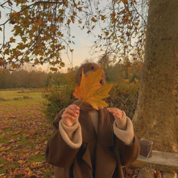 ꒰🍁꒱
