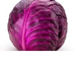 THE RED CABBAGE NATION