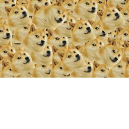 Doge! icon
