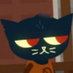Night in the Woods RP