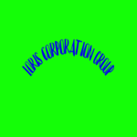LORIS CORPORATION GROUP